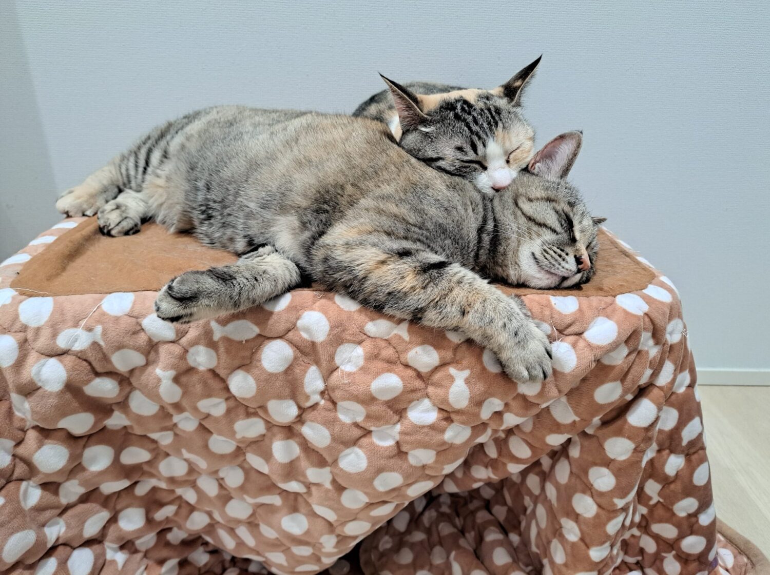 猫用 Lサイズ 遠赤外線こたつ Lサイズ 猫用こたつ 遠赤外線ヒーター付き